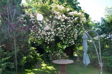 Villa-Himmelsberg-Energieheilung-Fremdenzimmer-5