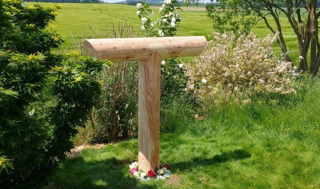 Vortrag Erdakupunktur